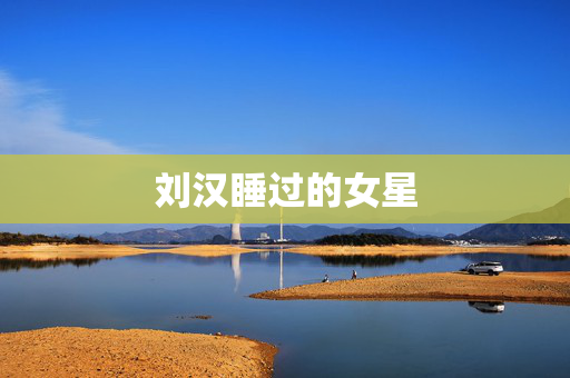 刘汉睡过的女星