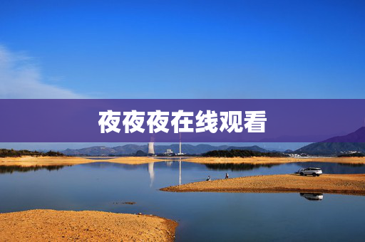 夜夜夜在线观看