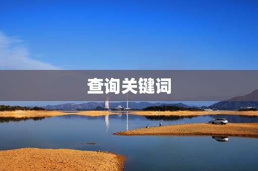 查询关键词