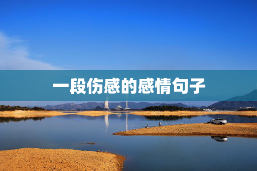一段伤感的感情句子