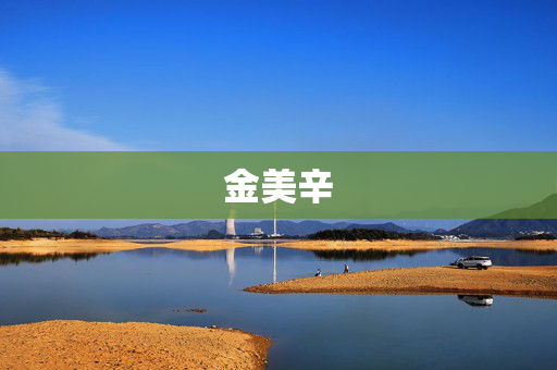 金美辛