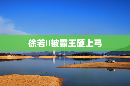 徐若瑄被霸王硬上弓