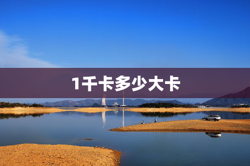 1千卡多少大卡