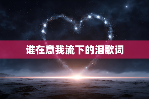 谁在意我流下的泪歌词