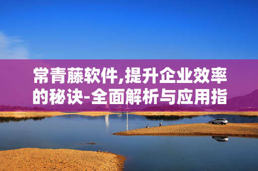常青藤软件,提升企业效率的秘诀-全面解析与应用指南 常青藤软件,提升企业效率的秘诀-全面解析与应用指南