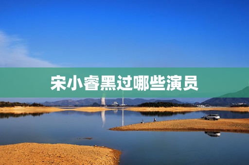 宋小睿黑过哪些演员
