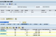 SAP软件,企业管理利器-功能与实施解析