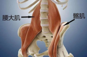 瘦身对咬肌的影响分析-如何保持面部轮廓