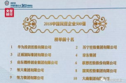 国内企业500强排名,最新榜单与增长动力解析-企业竞争力分析