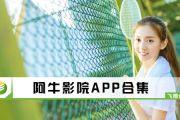 阿牛电影网：电影资源获取与用户体验解析