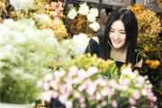 花房姑娘免费大全,资源获取与使用攻略-应用指南