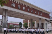 湖南软件职业学院官网,全面了解学院信息-SEO优化策略解析