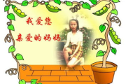 亲爱的妈妈6免费观看韩剧,全方位指南与平台解析