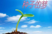 美妙人生,幸福秘诀-实现美好生活的关键要素