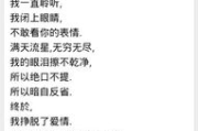 体面歌词,音乐中的情感共鸣-歌词解析与欣赏