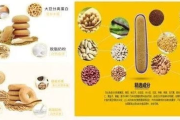 瘦身饼干效果评估,减肥食品真相探究
