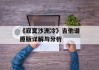 《寂寞沙洲冷》吉他谱原版详解与分析