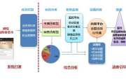 大数据营销，精准定位与高效转化的解决方案解析