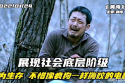疯狗电影网，电影资源的宝库-用户体验与安全指南