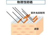 物理防晒与化学防晒的区别和选择指南