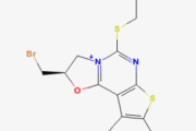360瘦身贴使用指南与脸部适用性分析