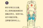 瘦身贴哪个牌子好用，品牌评测与使用指南