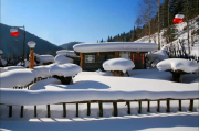 爸爸去哪儿雪乡地址查询-探索雪乡美景之旅