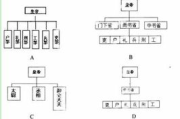 大秦帝国之天下，历史进程与文化遗产解析