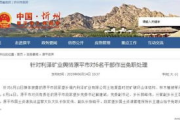 东莞市人民政府,高效行政与服务创新-政府职能解析
