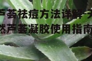 芦荟祛痘方法详解-天然芦荟凝胶使用指南