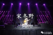 刘德华演唱会,音乐盛宴-舞台设计与演出亮点解析