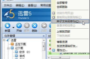 迅雷种子在线资源搜索与使用攻略-高效获取文件分享