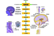 imToken钱包被设置权限-6种异常场景与完整解决方案