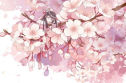 旧版樱花动漫入口,寻找经典动漫资源-使用技巧与优化建议