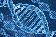 《斗罗大陆1》动漫,独特的世界观与精彩剧情-角色与故事深度解析