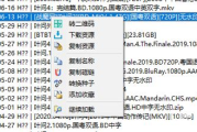 磁力搜索引擎网页使用指南与优化策略