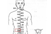 人体瘦身穴位按摩,中医减肥方法解析-瘦身技巧与实践