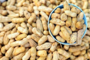 花生米瘦身,揭秘其营养价值与减肥效果-饮食调整指南