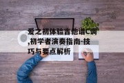 爱之初体验吉他谱C调,初学者演奏指南-技巧与要点解析