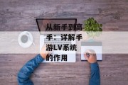 从新手到高手：详解手游LV系统的作用