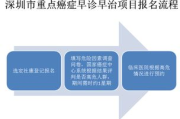 减肥餐与代餐的选择及瘦身效果解析