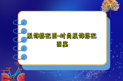 服饰搭配图-时尚服饰搭配图鉴