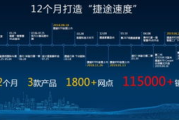 旅配服务，让旅行不再孤单-寻找理想伴侣的解决方案解析