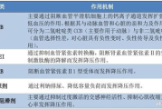 瘦身霜效果评估与使用指南-瘦身霜的真实效果解析
