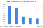 彩妆业绩提升，创新营销策略与消费者洞察-解决方案解析