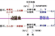 贪婪洞窟H5双修流攻略解析-高效玩法指南