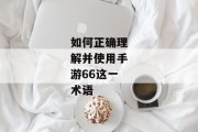 如何正确理解并使用手游66这一术语