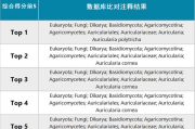 男星爆料女星私生活混乱：真相与影响解析
