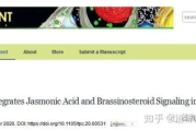 免费在线观看最新电影，安全与体验兼顾