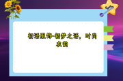 初语服饰-初梦之语，时尚衣韵